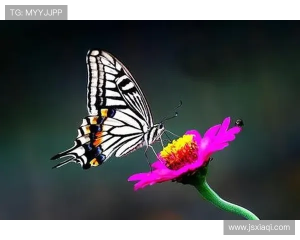 绝世倾情：一眼万年，只为与你共赴红尘